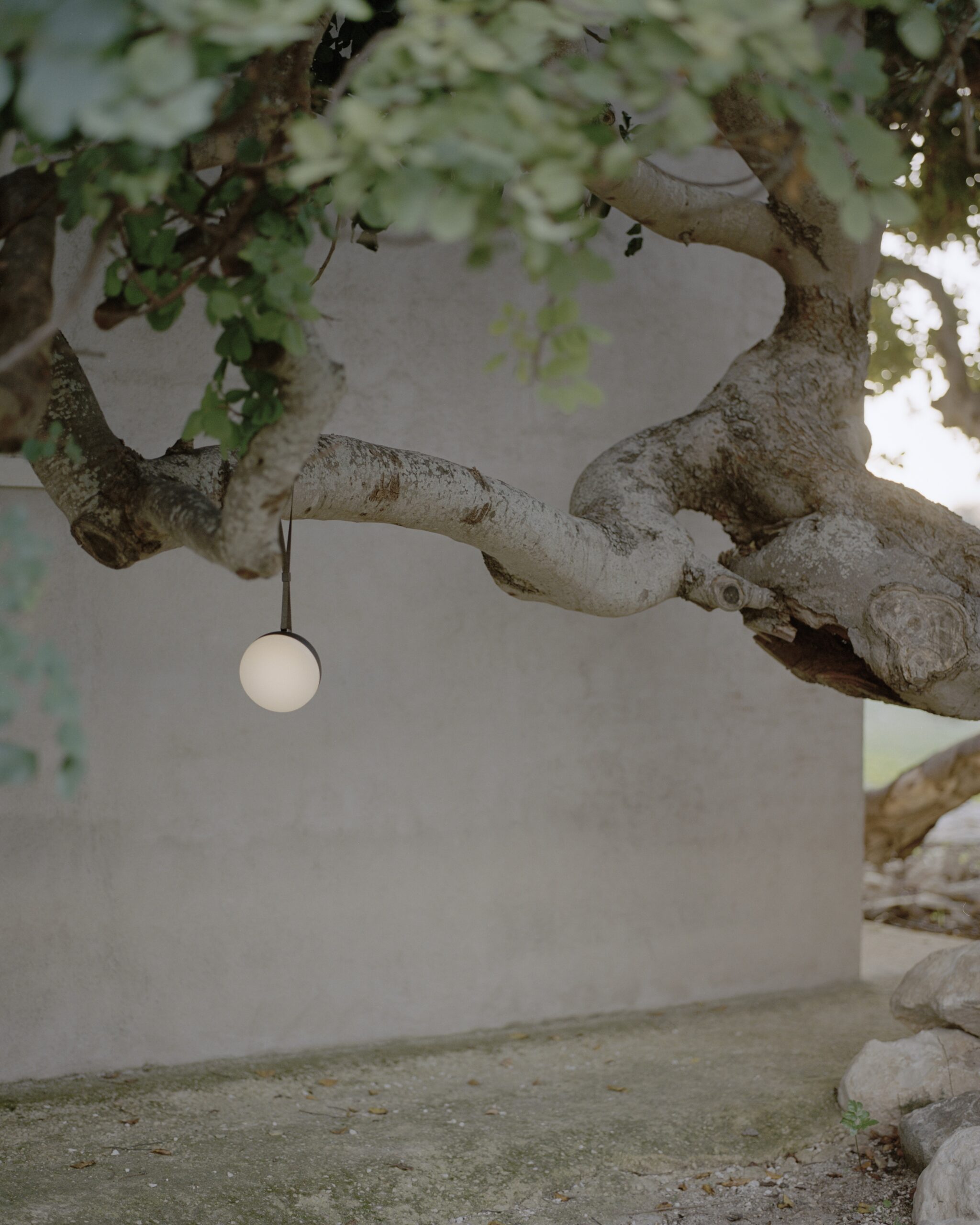 New Works - Sphere Tafellamp - Afbeelding 2